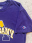 Vintage Champion Ualbany Tee (M)