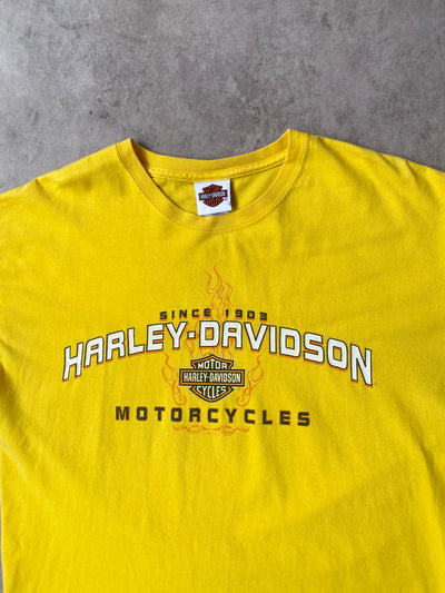 Vintage Harley Davidson Chicago, il Tee (L)